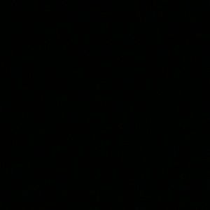 Meet your Posher, Isabelle